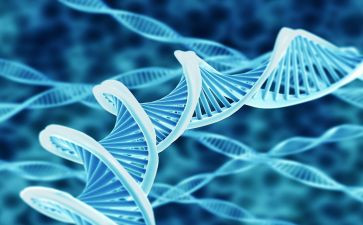 生物的心得体会7篇