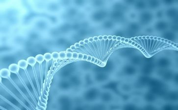 生物的心得体会优质5篇