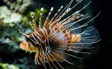 初中生物组的工作计划6篇