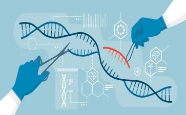 2024生物教师工作总结通用8篇