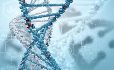初中生物教师述职报告2023精选7篇