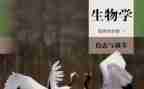 2024生物教师工作总结模板6篇