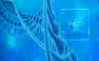 生物安全管理自查报告7篇