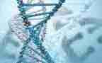 初中生物教师述职报告2023精选7篇