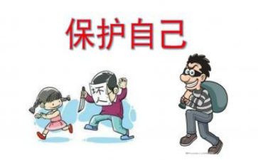 保护动物作文400字精选7篇