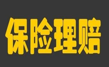 保险公司周总结报告8篇