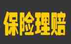 保险公司自我鉴定推荐5篇