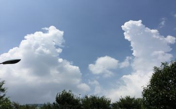 家乡变化的演讲稿5篇