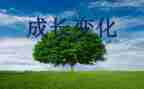 桥的变化作文7篇