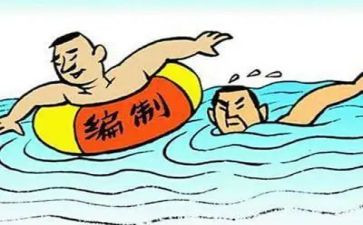 局编制工作总结6篇