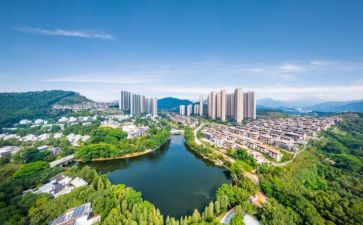 碧桂园转正申请书5篇