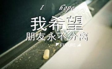 毕业表的自我鉴定500字优秀5篇