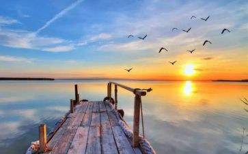 不一样的人作文推荐7篇