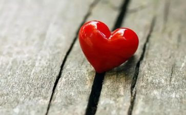 不一样的人作文600字6篇