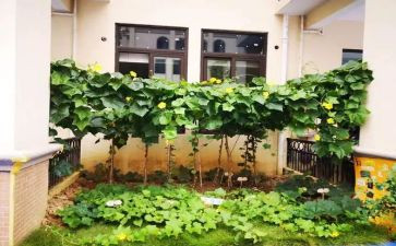 蔬菜工作总结8篇