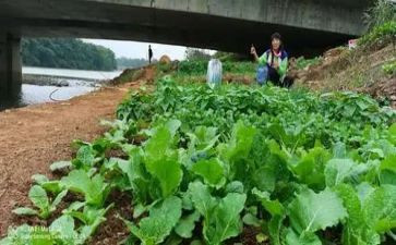 小班健康教案蔬菜宝宝营养多反思7篇