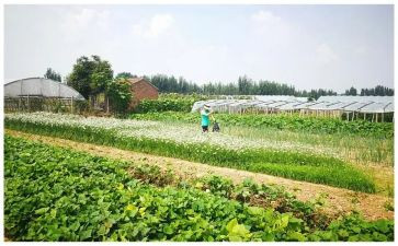 湘菜主管的述职报告6篇