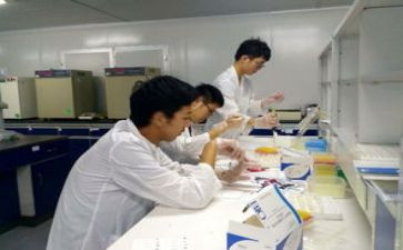 材料班实习报告模板通用5篇