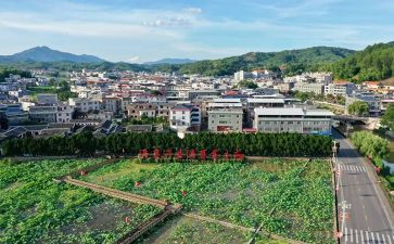 才溪调查心得体会模板5篇