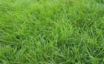 草原上的木屋读后感7篇