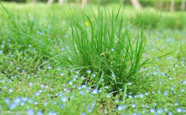 烟草稽查工作总结5篇