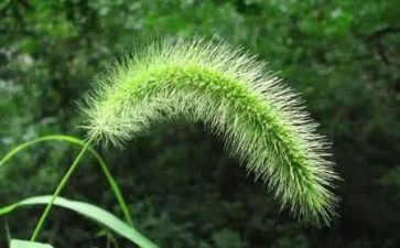 烟草职工作计划7篇