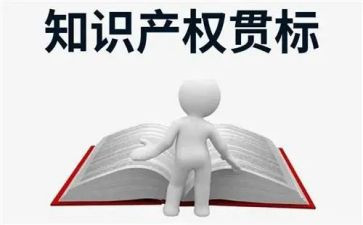 2023年知识产权工作总结8篇