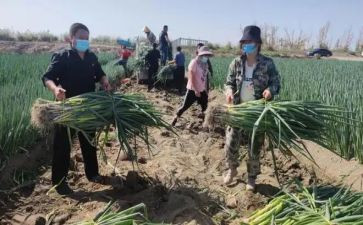 房产销售2023述职报告优秀7篇