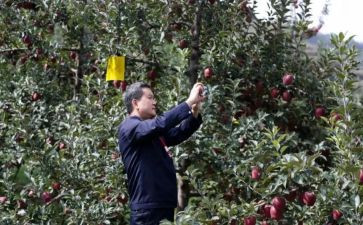 房产销售工作总结及计划6篇