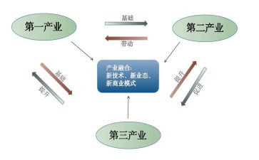 牛产业发展工作总结6篇