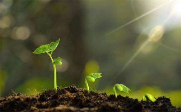 成长类作文范文通用5篇