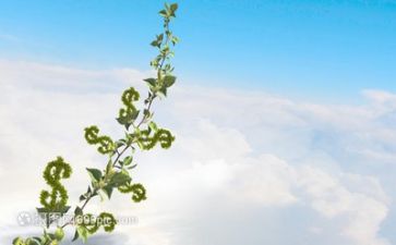 成长类的作文800字优质5篇