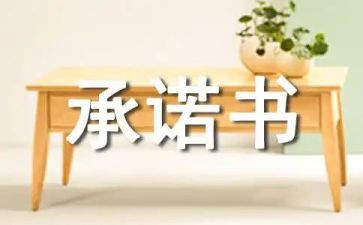 供应商质量承诺书8篇