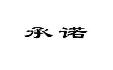 承诺的优秀作文优质5篇