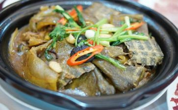 吃野味演讲稿5篇