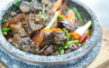 吃野味演讲稿参考8篇