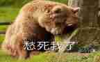 愁的滋味作文700字8篇