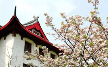 川大入团申请书5篇