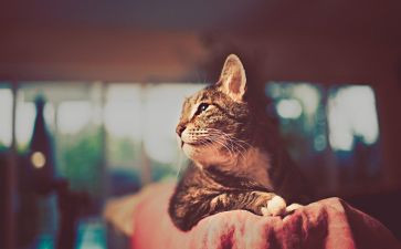 人生出彩的演讲稿6篇