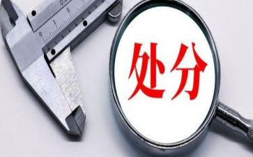撤销处分申请书8篇