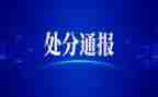 申请撤销处分申请书5篇