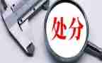 撤销处分申请书8篇