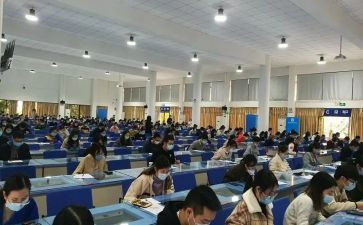 初级教师申请书7篇