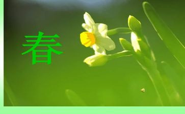 幼儿小班春班级工作总结参考6篇