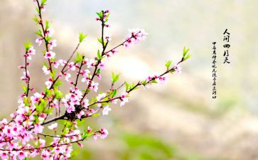 广州的春节作文600字6篇