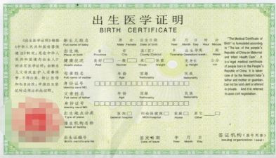 补办出生证明申请书5篇