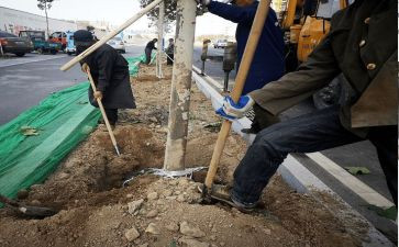 c类作文范文精选7篇