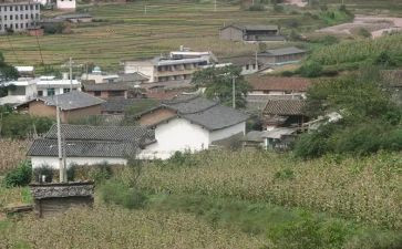 村庄小调查报告7篇