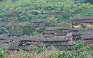 2024年村会计述职个人报告精选7篇