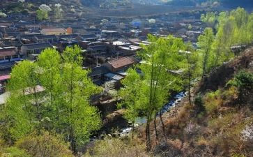2023年村委干部述职报告6篇